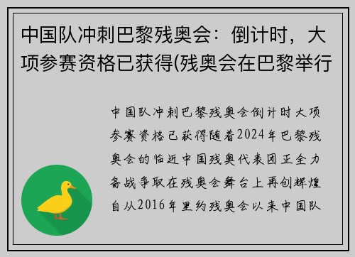 中国队冲刺巴黎残奥会：倒计时，大项参赛资格已获得(残奥会在巴黎举行)