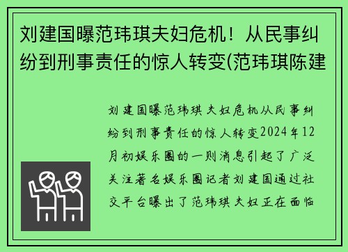 刘建国曝范玮琪夫妇危机！从民事纠纷到刑事责任的惊人转变(范玮琪陈建州婚纱照)