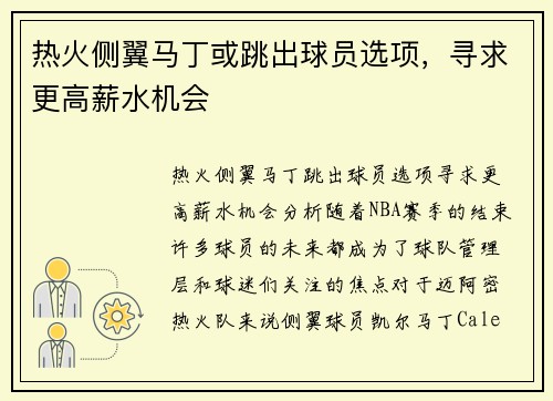 热火侧翼马丁或跳出球员选项，寻求更高薪水机会